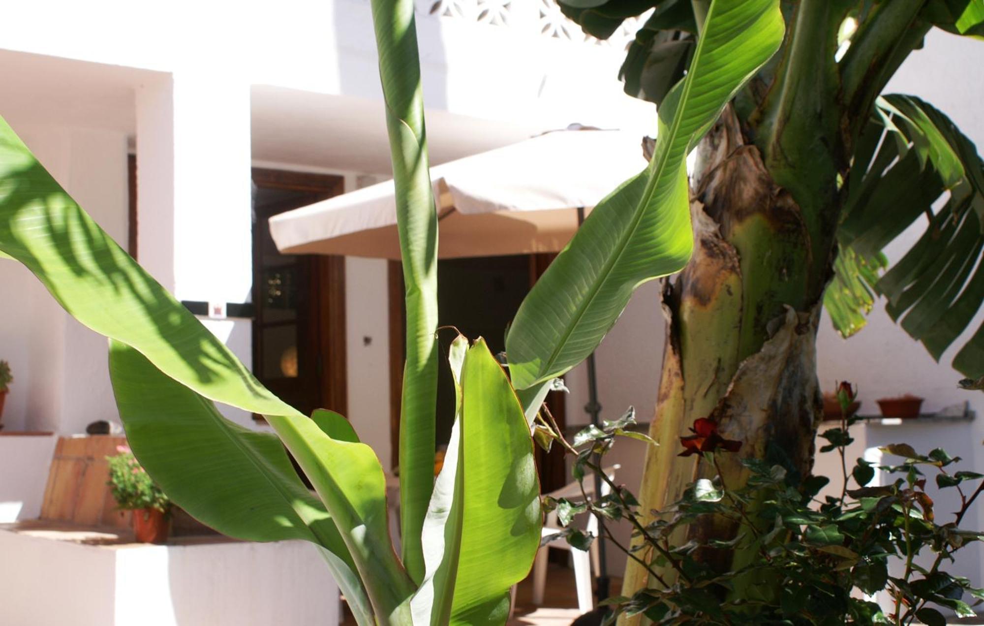 Casa Creativa Guest House Hermigua Cameră foto