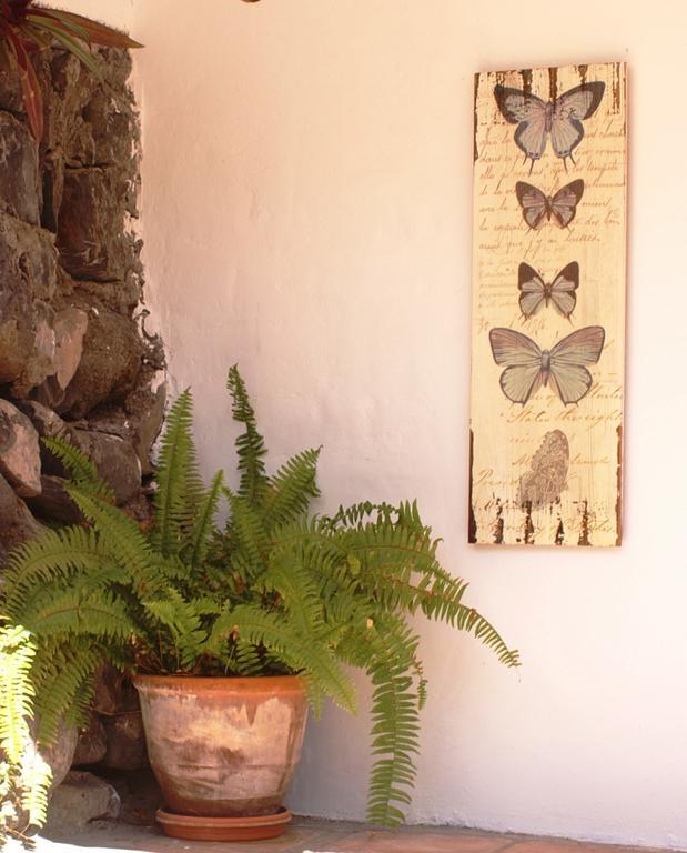 Casa Creativa Guest House Hermigua Exterior foto